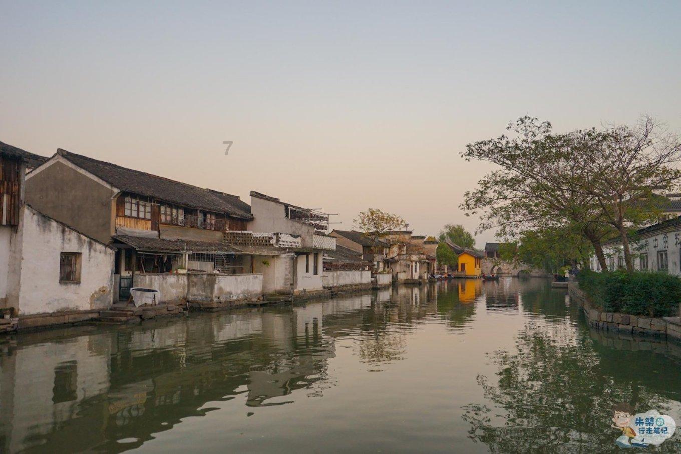 冻不住的热情!四川小金豆两次挑战哈尔滨冬泳,“霸气登场,‘泳’气十足”